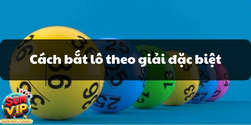 Cách Bắt Lô Theo Giải Đặc Biệt Với Kỹ Thuật Hiệu Quả Nhất 5 Cach bat lo theo giai dac biet