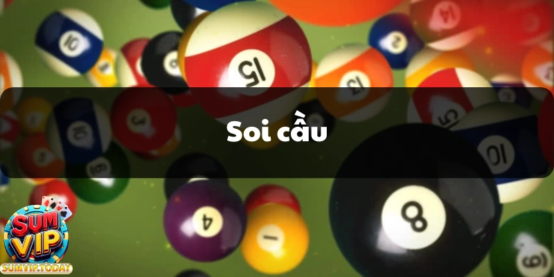 Soi cau