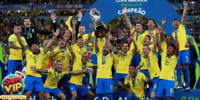 Đội Tuyển Brazil - Thành Tích Vĩ Đại Của Các Thành Viên  1 doi tuyen Branzil