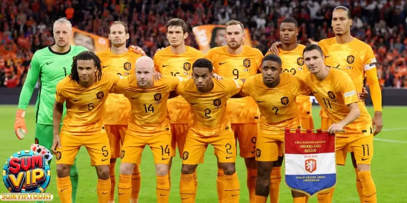 Đội Tuyển Netherlands - Hành Trình Của Đội Bóng Tiềm Năng 1 doi tuyen Netherlands