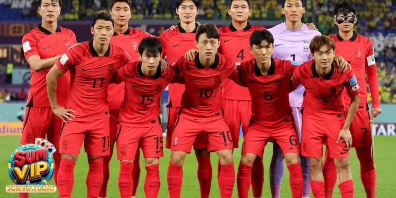 Đội Tuyển Korea Republic - Sức Mạnh Bóng Đá Châu Á Tỏa Sáng 7 doi tuyen korea republic