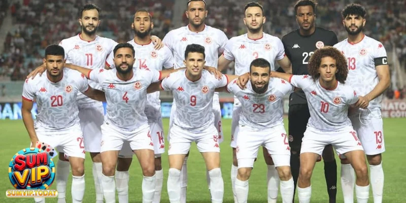 Đội Tuyển Tunisia - Câu Chuyện Thành Công Trong Bóng Đá 3 doi tuyen tunisia